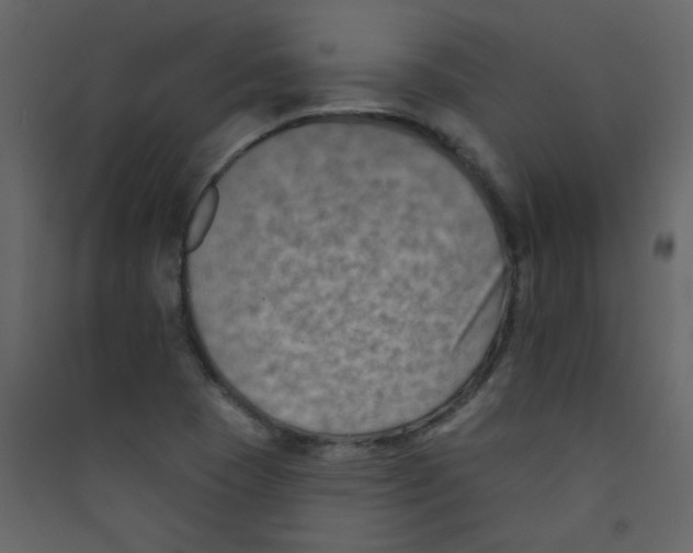 X0000089441409200707131856
