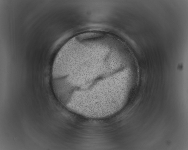 X0000089441411200707131856