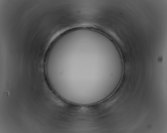X0000089441412200707131856