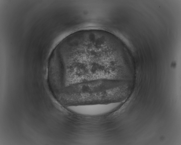 X0000089441413200707131856