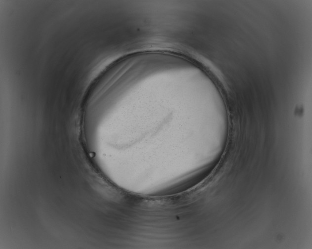 X0000089441415200707131856