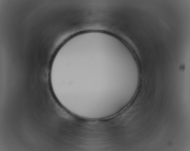 X0000089441416200707131856