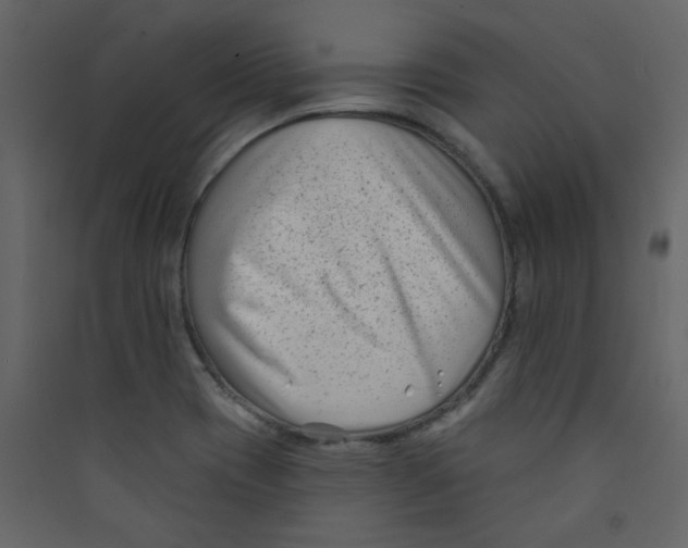 X0000089441417200707131856