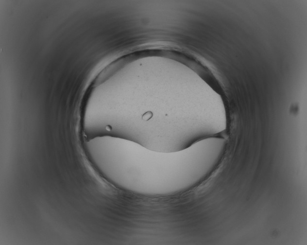 X0000089441418200707131856