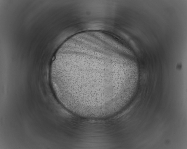 X0000089441419200707131856