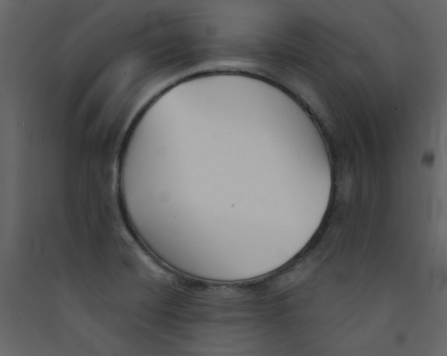 X0000089441420200707131856