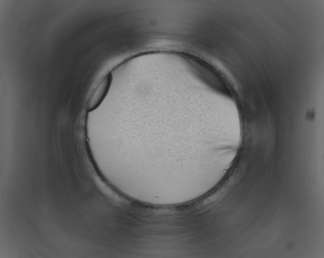 X0000089441421200707131856