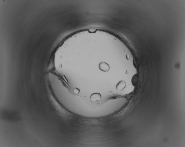 X0000089441422200707131856