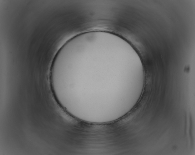 X0000089441423200707131856