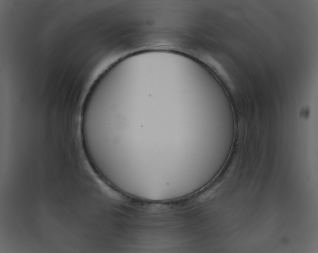 X0000089441424200707131856