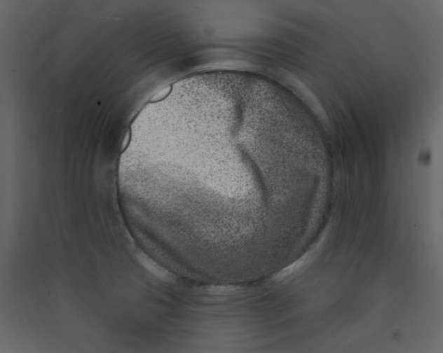 X0000089441425200707131856