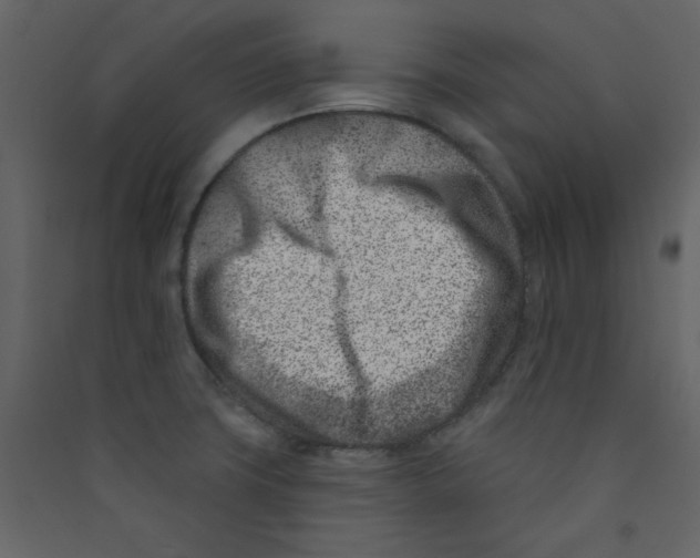 X0000089441427200707131857