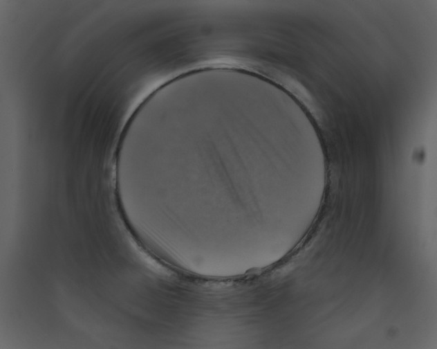 X0000089441428200707131857