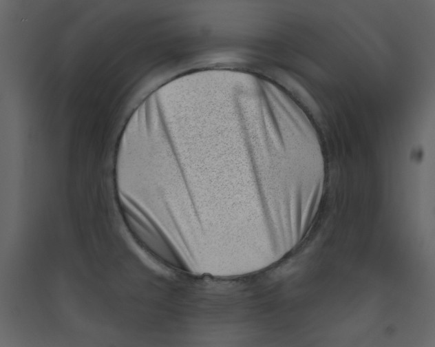 X0000089441429200707131857