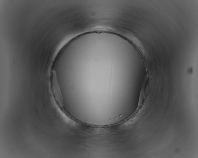 X0000089441430200707131857