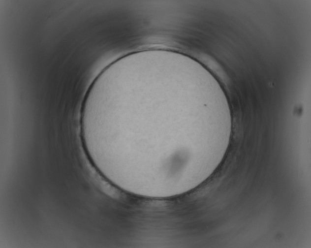 X0000089441431200707131857