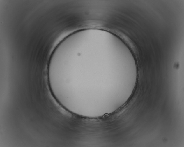 X0000089441432200707131857