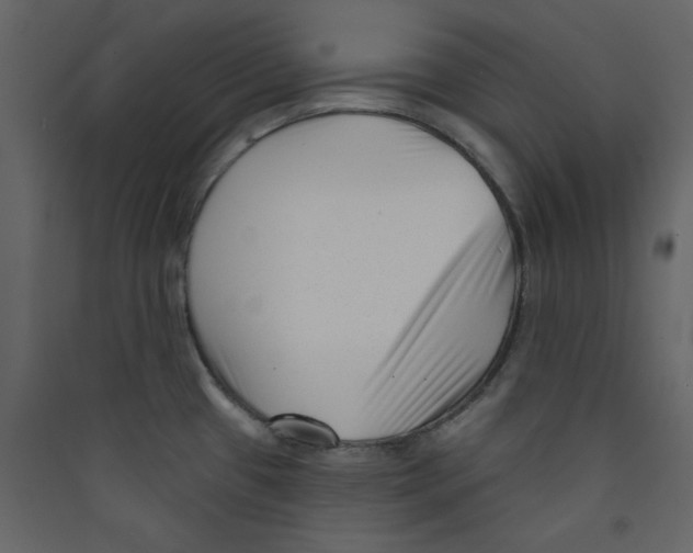X0000089441433200707131857