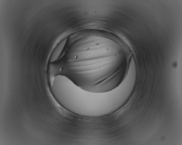 X0000089441434200707131857