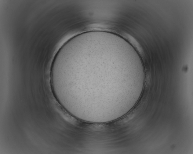 X0000089441435200707131857