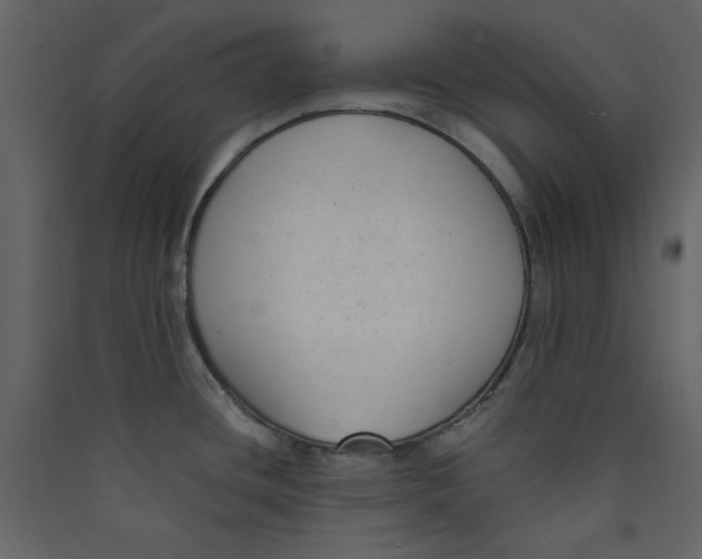 X0000089441436200707131857