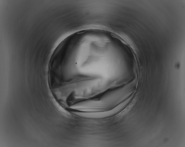 X0000089441438200707131857