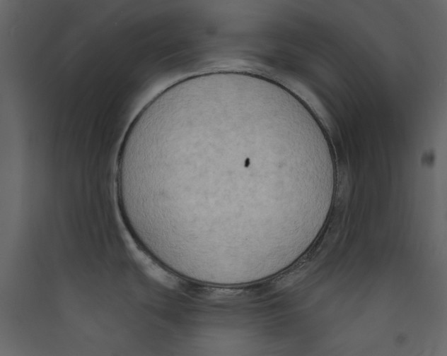 X0000089441439200707131857