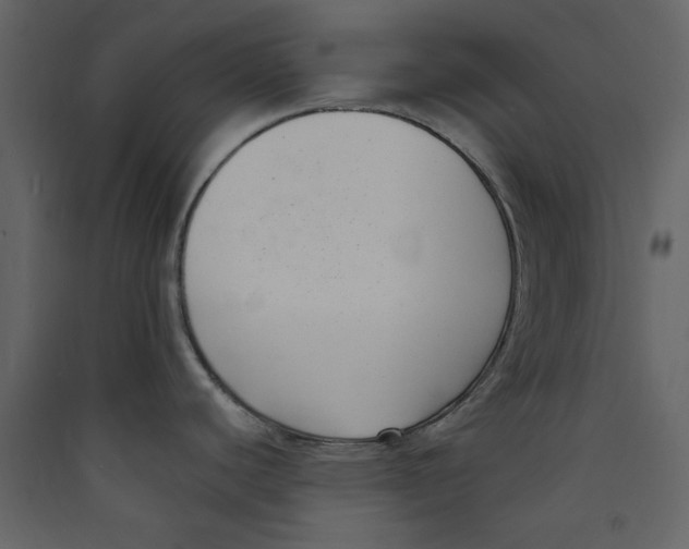 X0000089441440200707131857