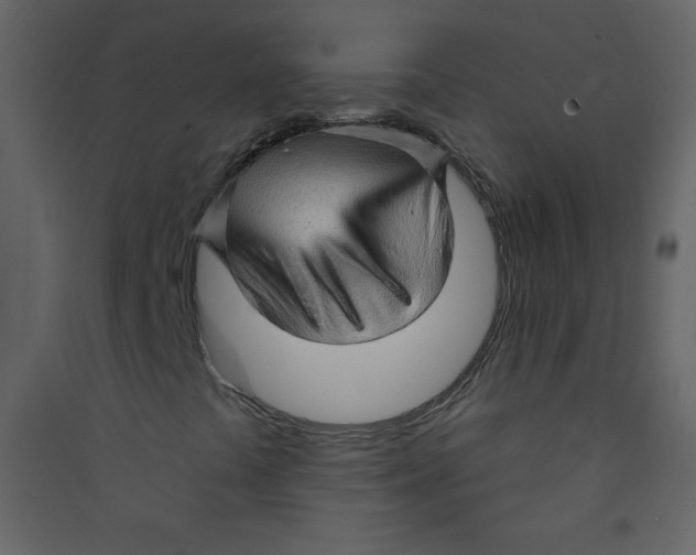 X0000089441441200707131856