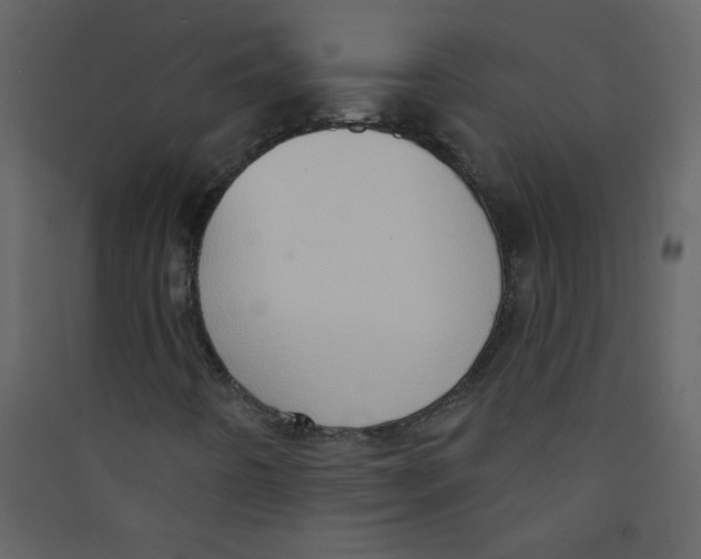 X0000089441442200707131856