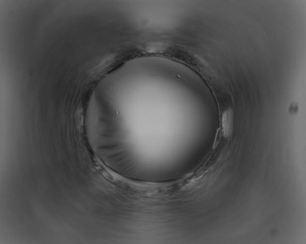 X0000089441443200707131856