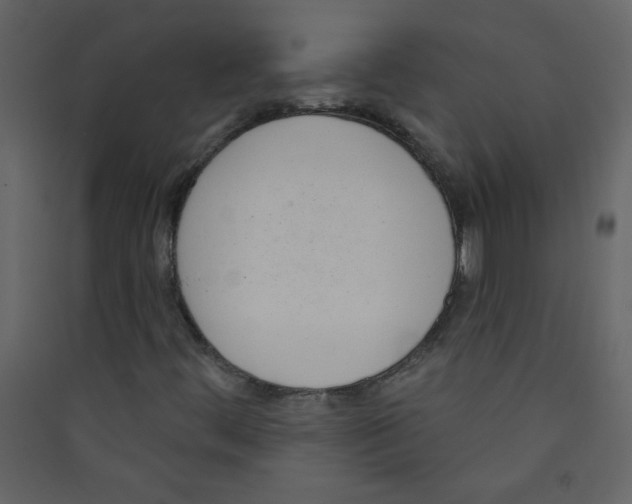 X0000089441444200707131856