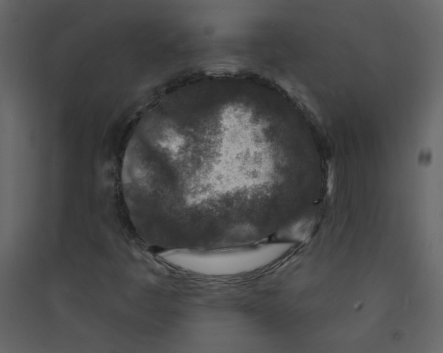 X0000089441445200707131856