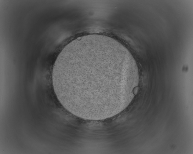 X0000089441446200707131856