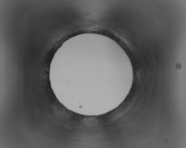 X0000089441447200707131856