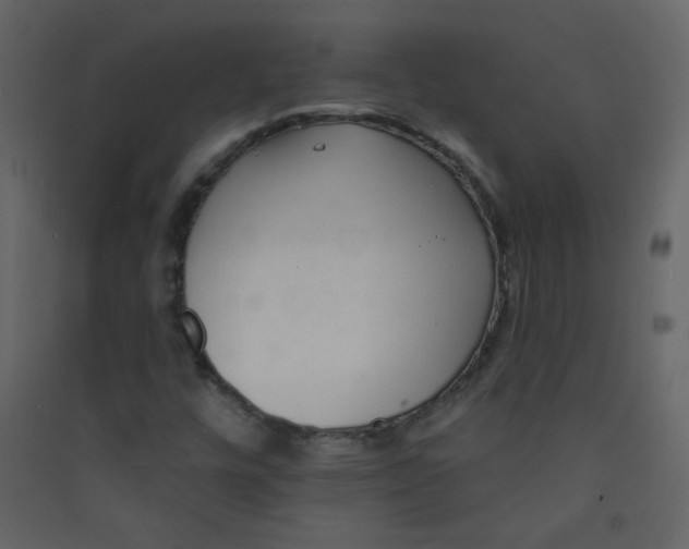 X0000089441448200707131856