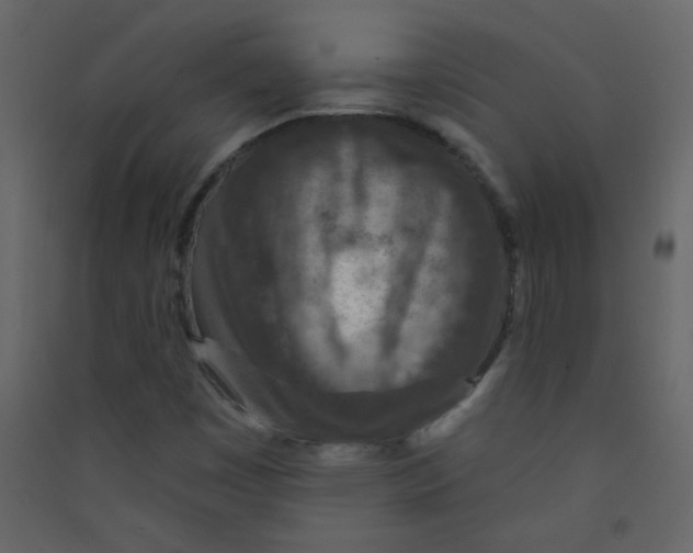 X0000089441449200707131856