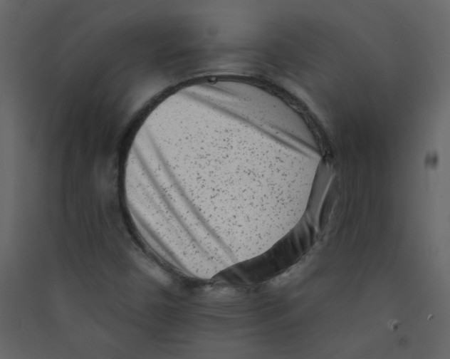 X0000089441450200707131856