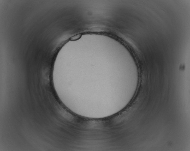 X0000089441451200707131856