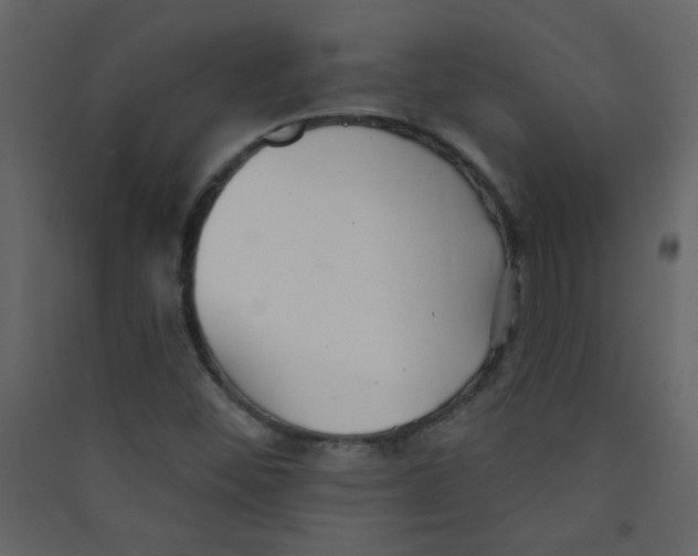 X0000089441452200707131856