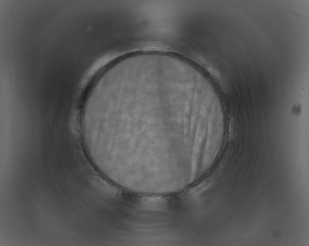 X0000089441454200707131856