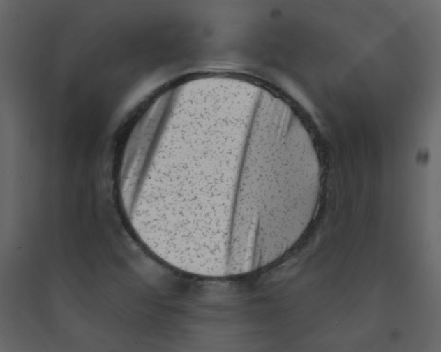 X0000089441456200707131856