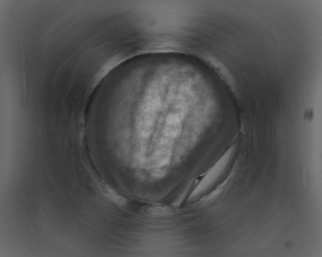 X0000089441457200707131856