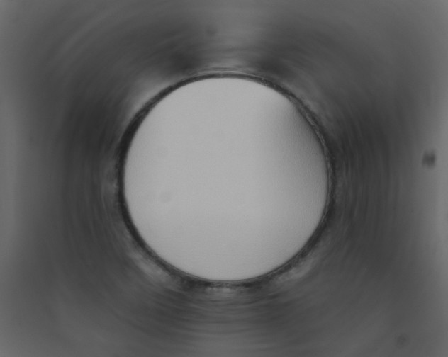 X0000089441458200707131856