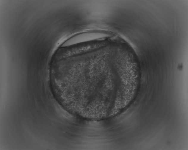 X0000089441459200707131856