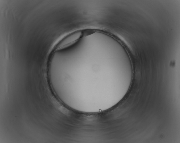X0000089441460200707131856