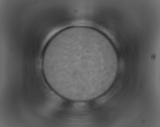 X0000089441462200707131856