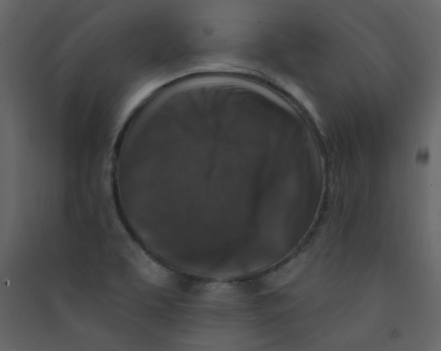 X0000089441463200707131856