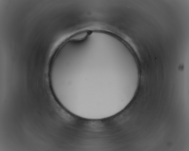 X0000089441464200707131856