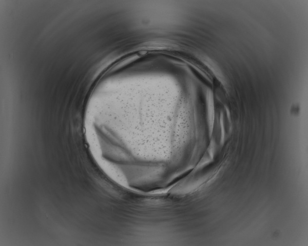 X0000089441465200707131856